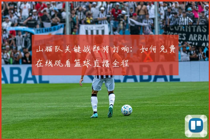 山猫队关键战即将打响：如何免费在线观看篮球直播全程