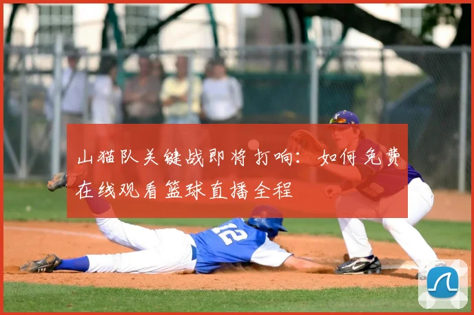 山猫队关键战即将打响：如何免费在线观看篮球直播全程